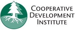 CDI Logo